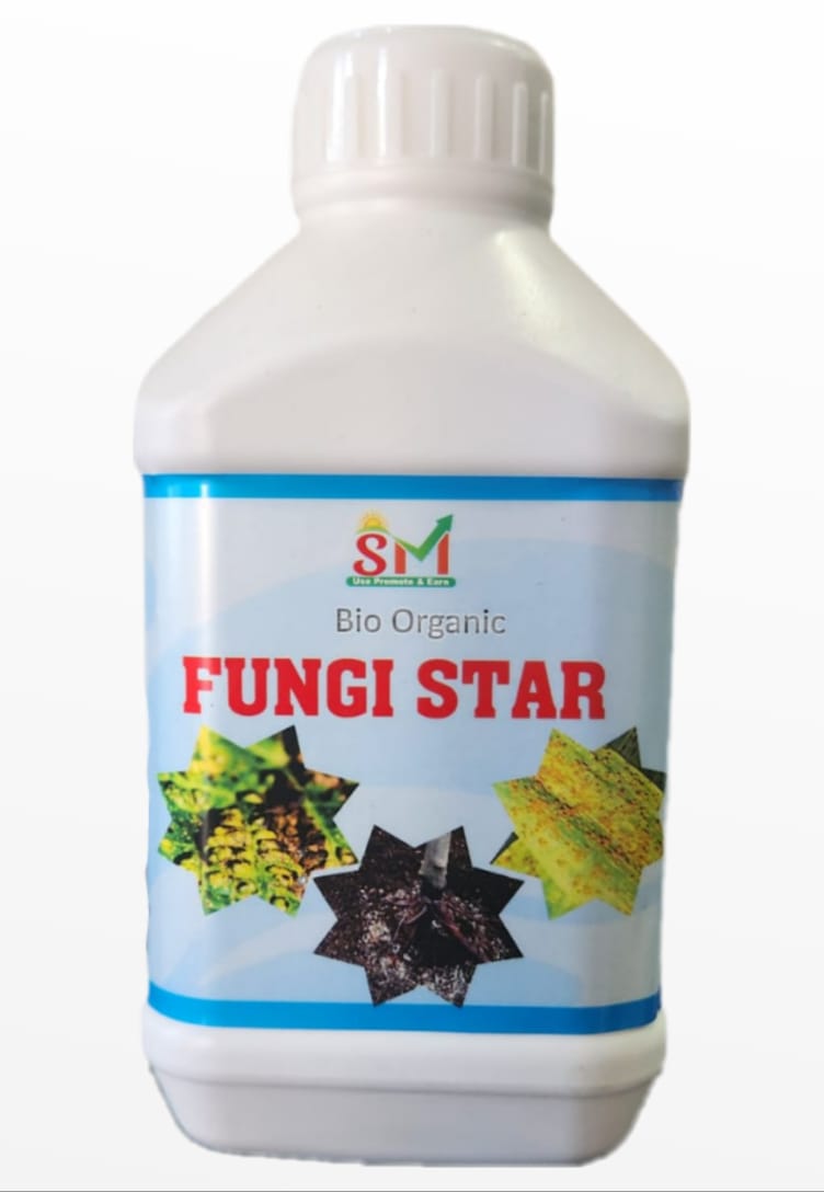 Fungi Star